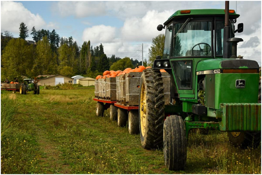 About Farming News